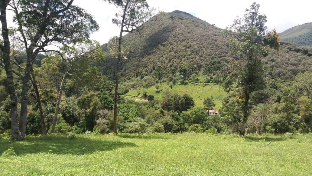 Terreno Zona Rural 2 Irmãos