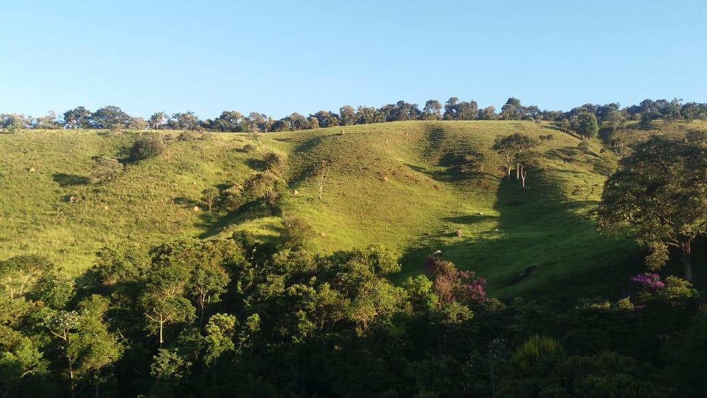 Terreno Zona Rural