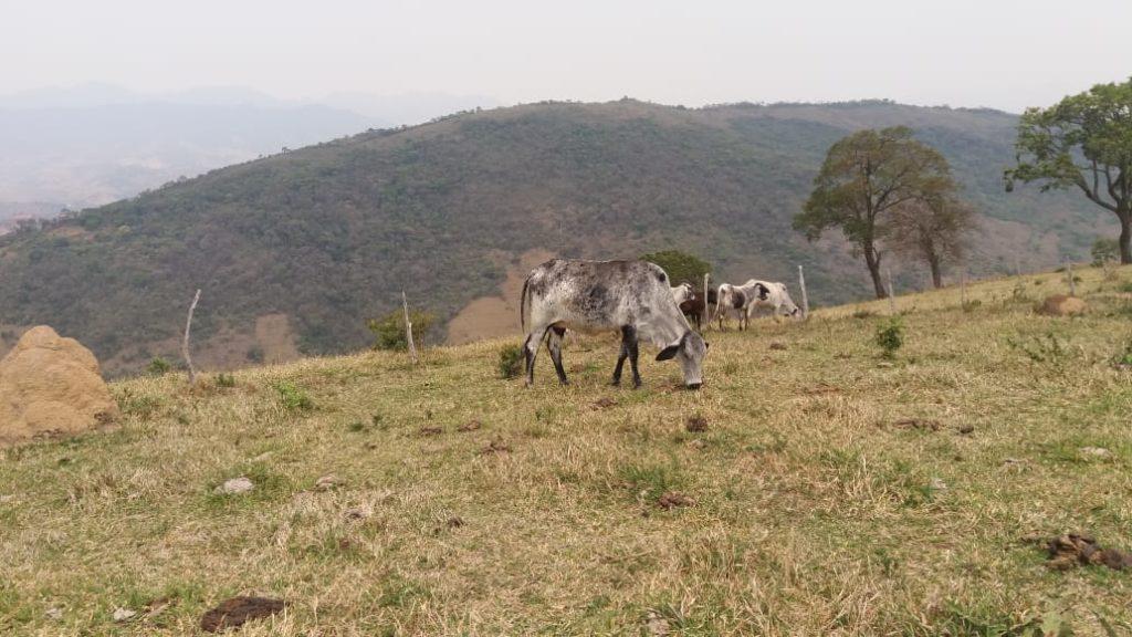 Terreno Zona Rural Itamonte